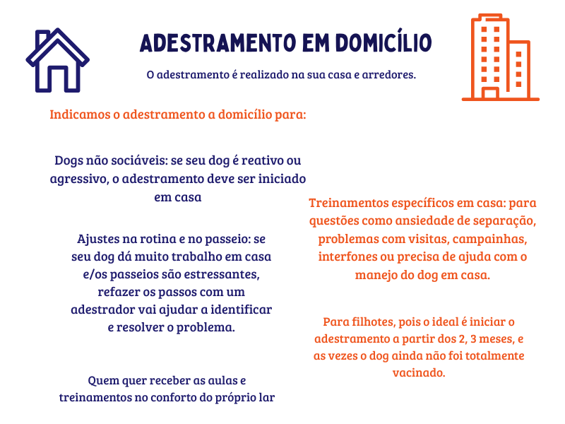 4 | Dogz
