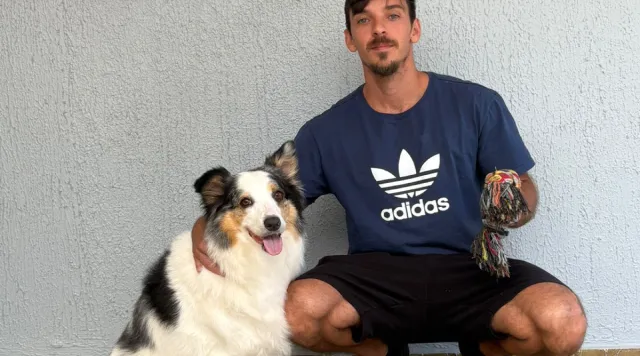 PILAR 1 | Dogz