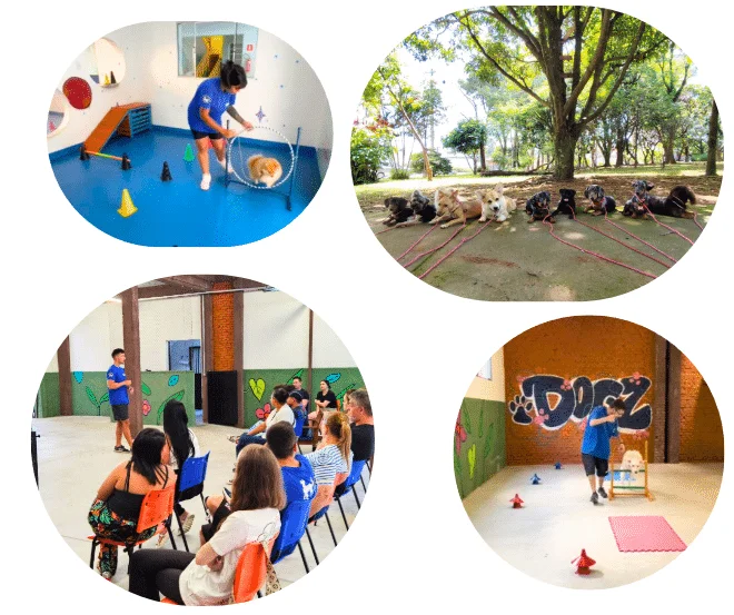 Captura de tela 2025 02 27 182016 | Dogz