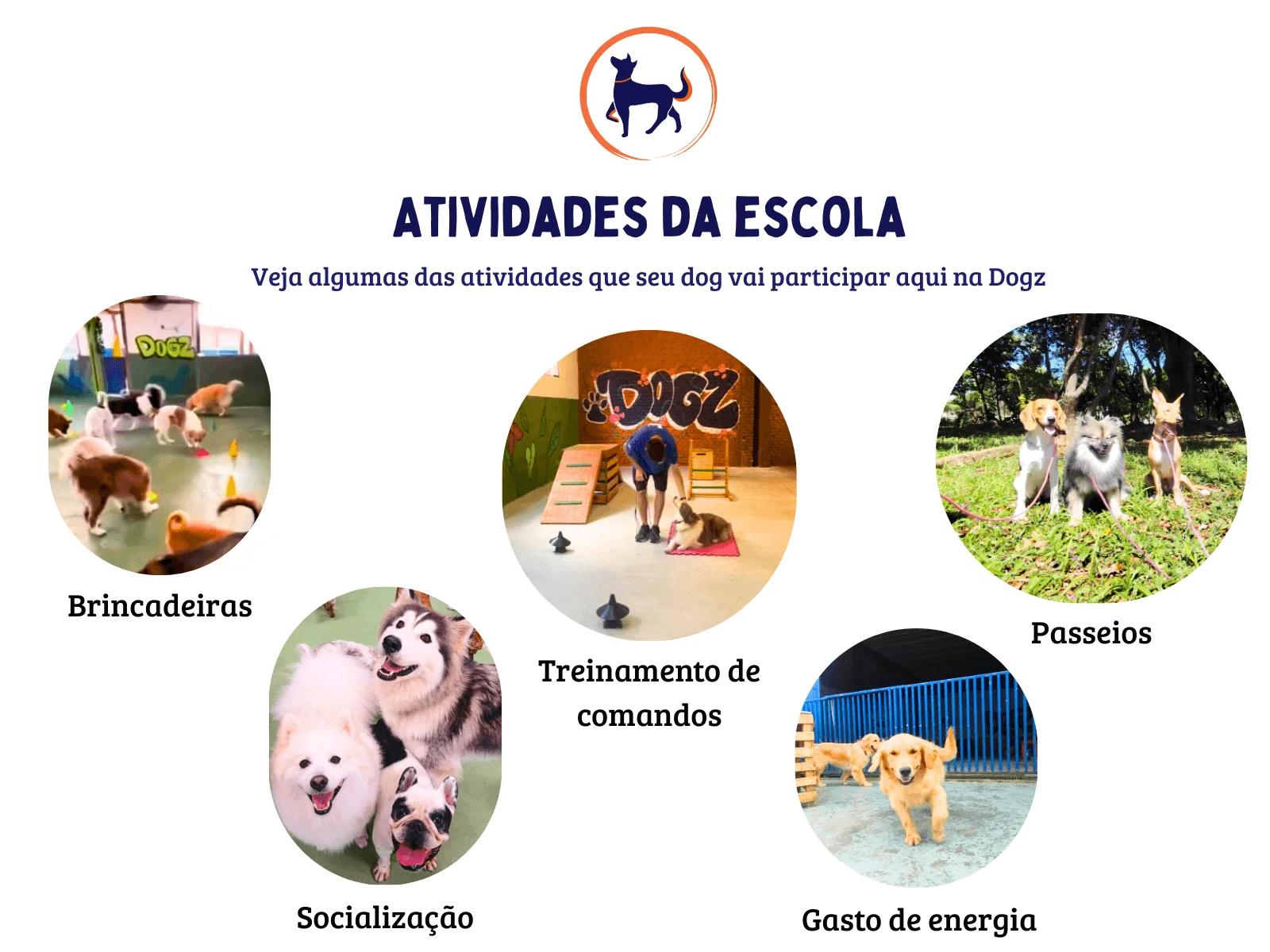 Escola Dogz - Atividades