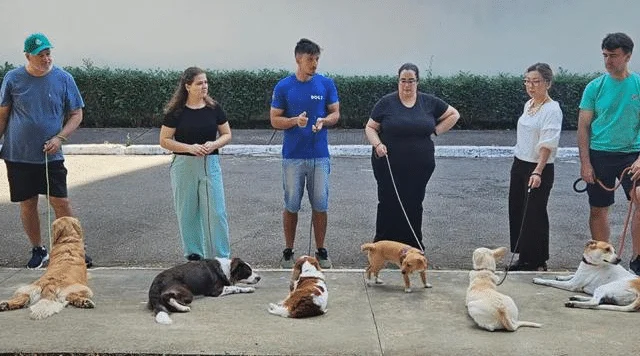 PILAR 2 v2 | Dogz